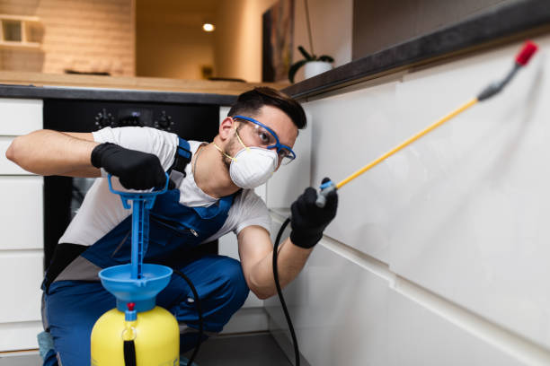 Best Insect Control  in Fond Du Lac, WI