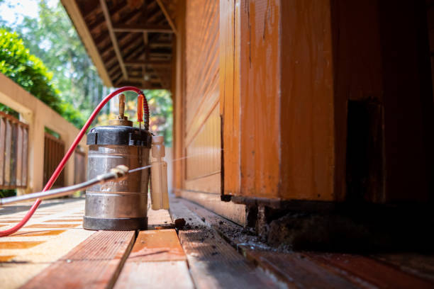 Best Affordable Pest Control Services  in Fond Du Lac, WI