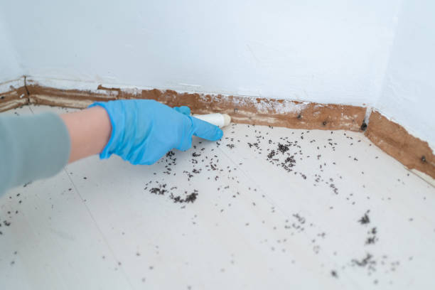Best Insect Control  in Fond Du Lac, WI