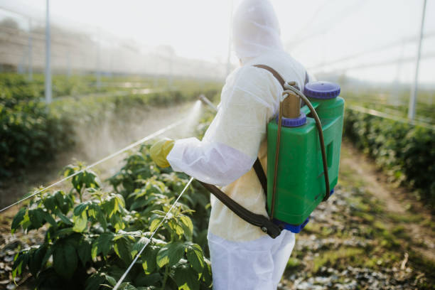 Best Pest Removal Services  in Fond Du Lac, WI